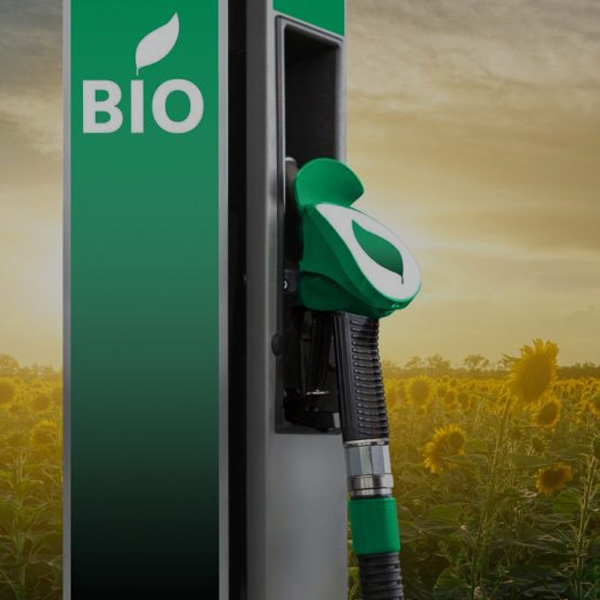 Bio Energy
